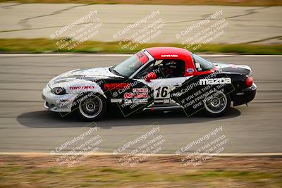 media/Feb-17-2024-Extreme Speed (Sat) [[f2f02d613c]]/Red Group/Session 3 (Turn 4)/